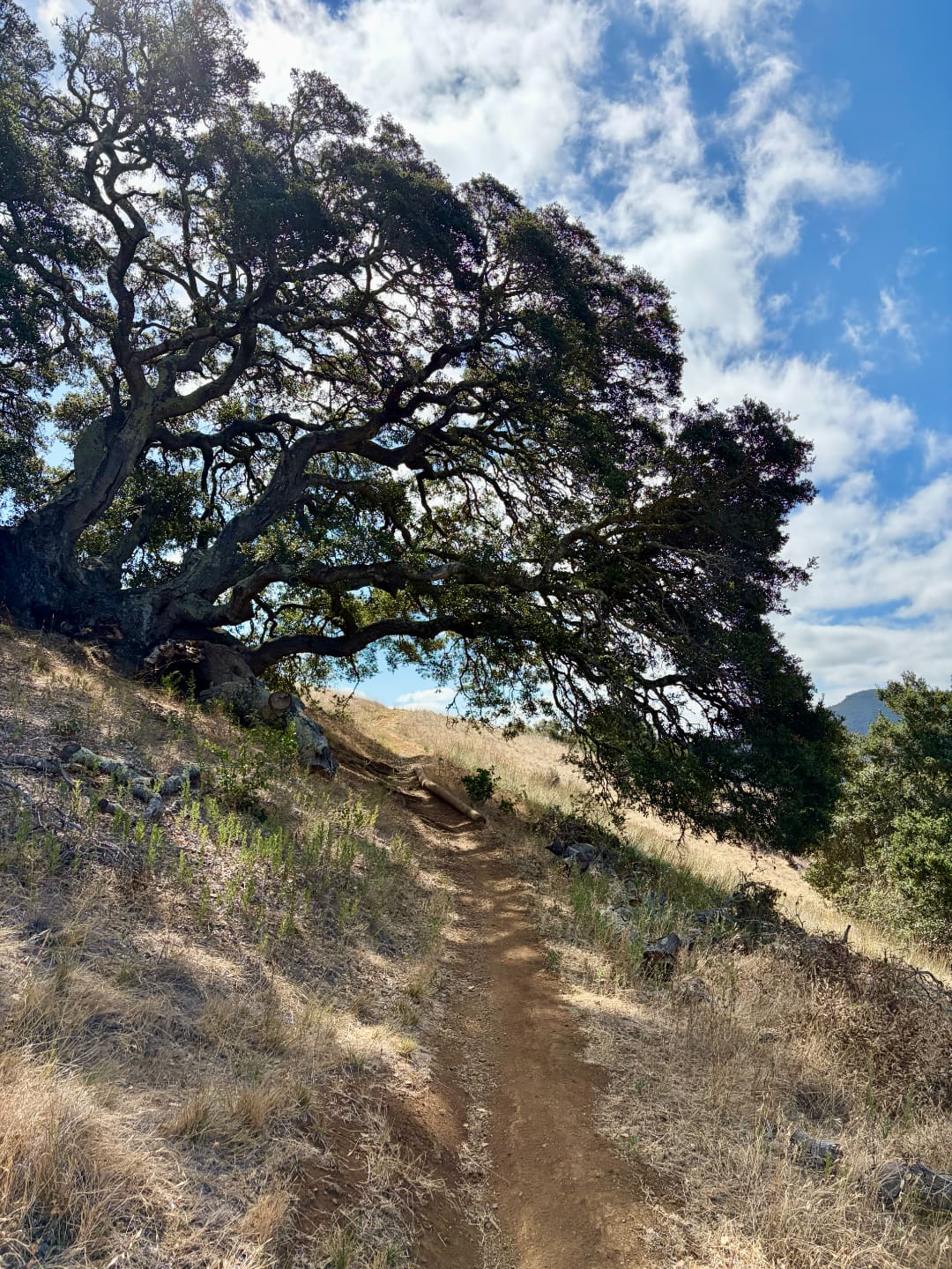 Johnson Ranch Open Space