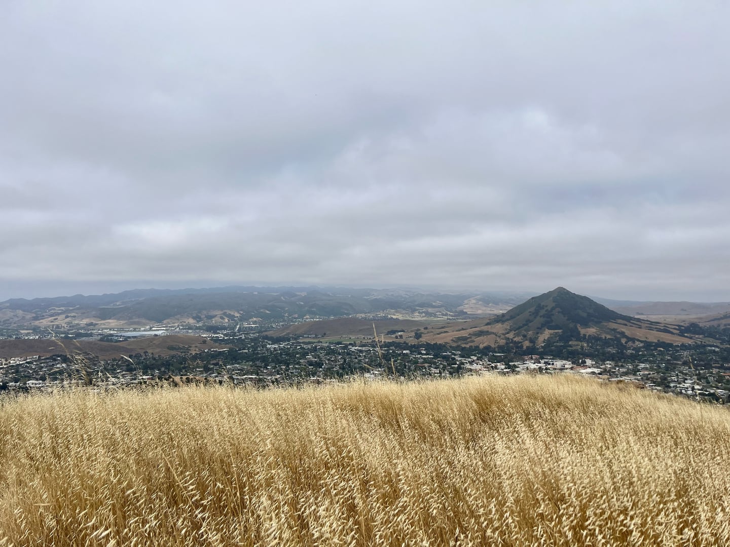 High School Hill — June 2025