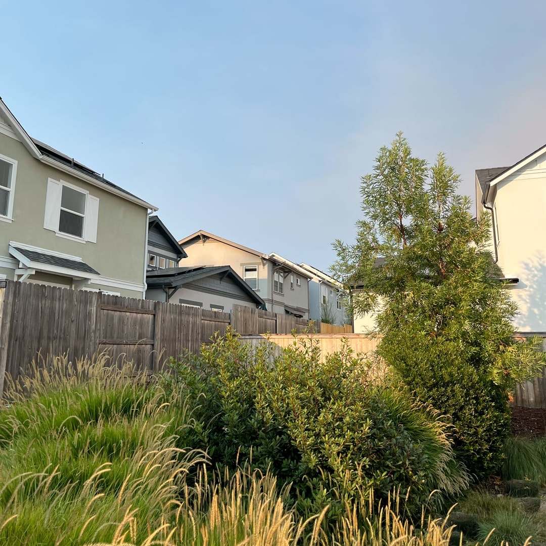SLO Ranch — July 2025