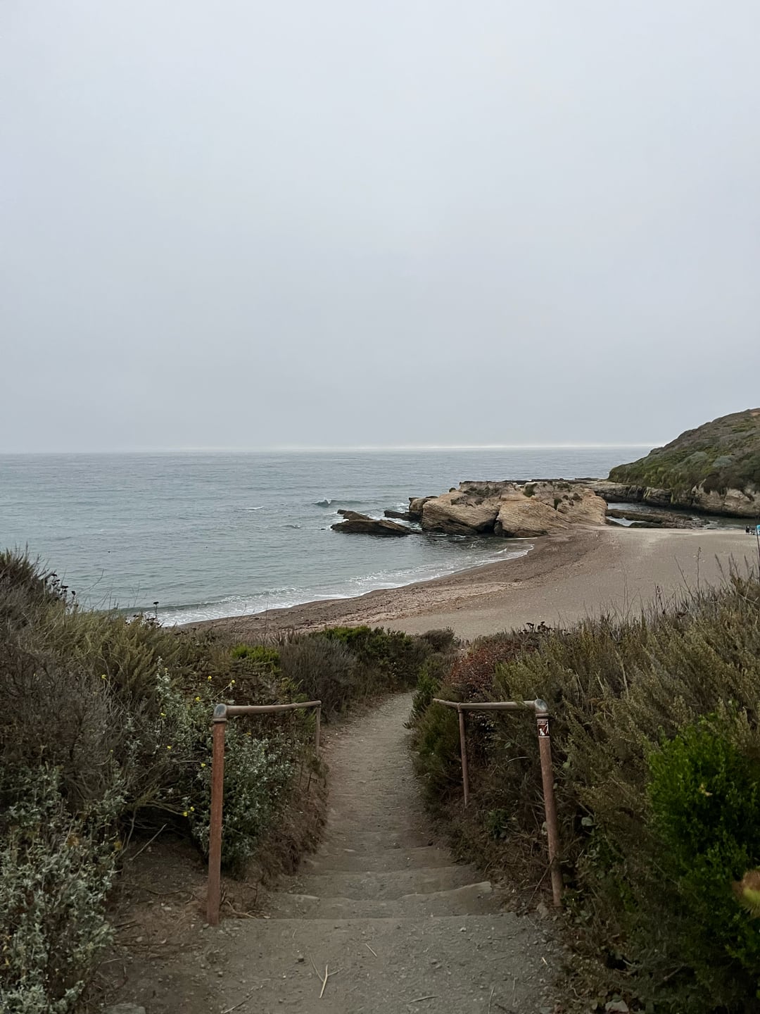 Spooner Cove — August 2025