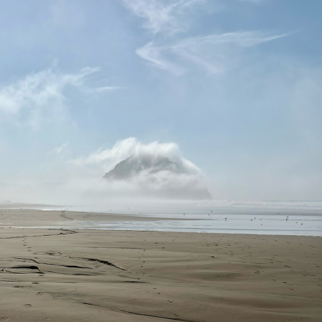 Morro Strand — November 2025