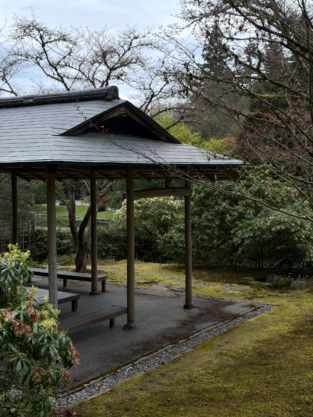 Seattle Japanese Garden — April 2026