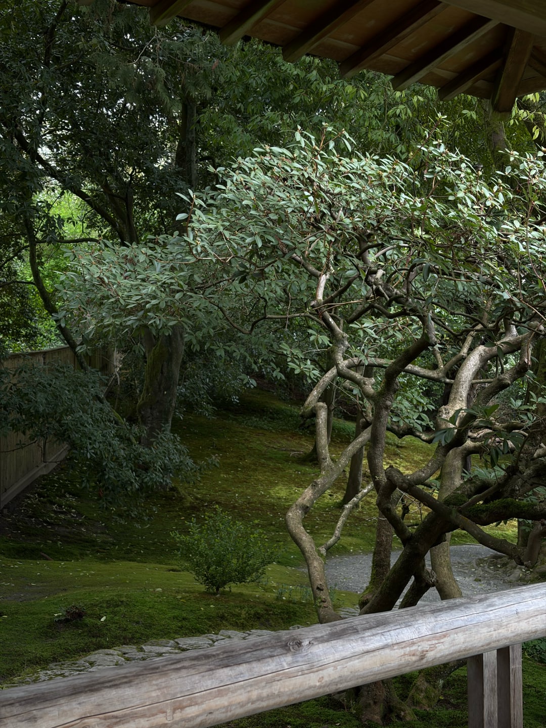Seattle Japanese Garden — April 2026