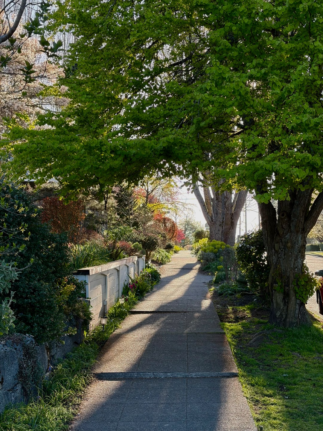 Seattle Streets — April 2026