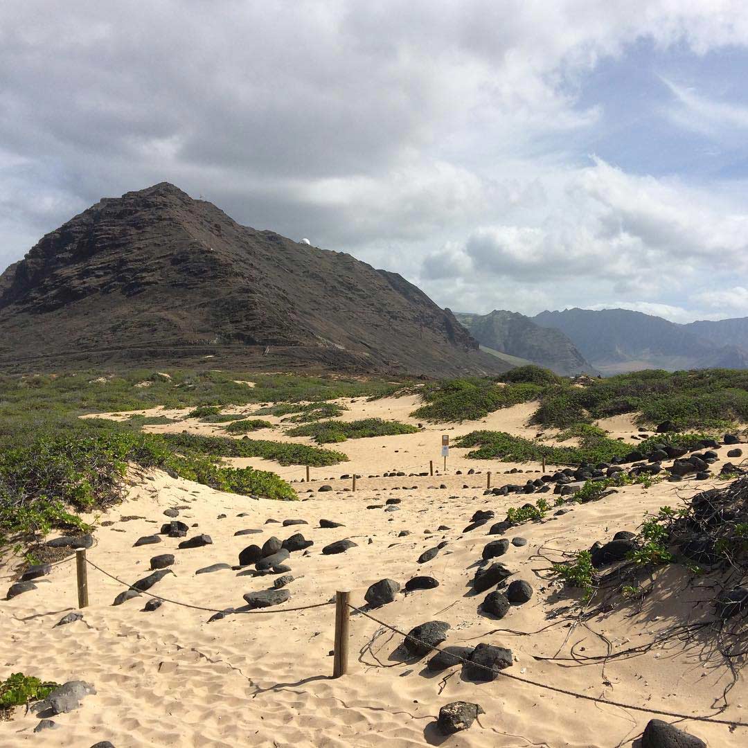 11-hawaii-2.jpg