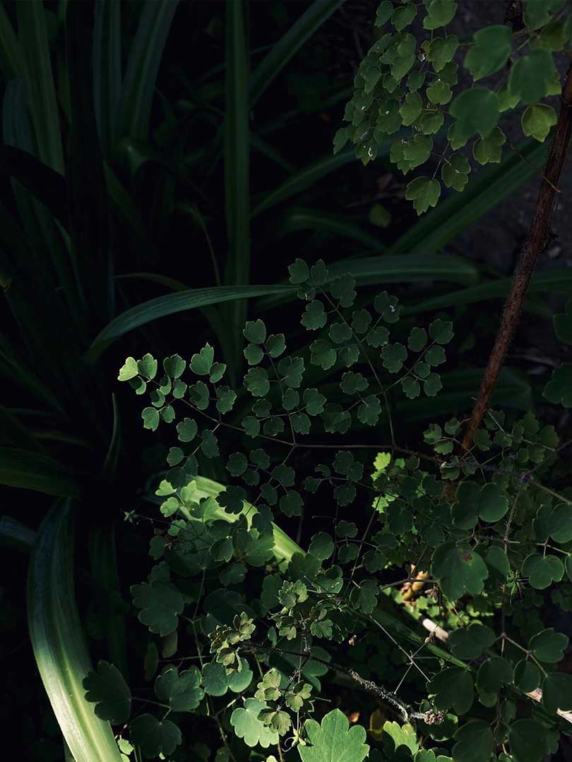 07-berkeley.jpg