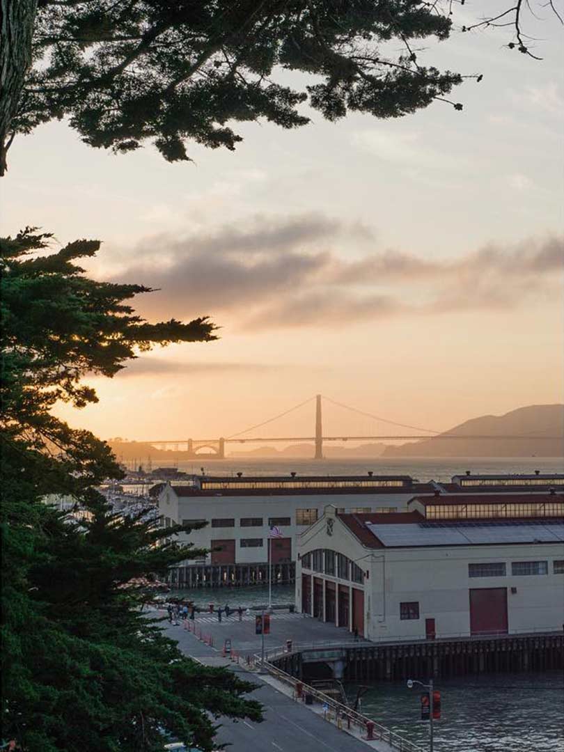 09-sf-5.jpg