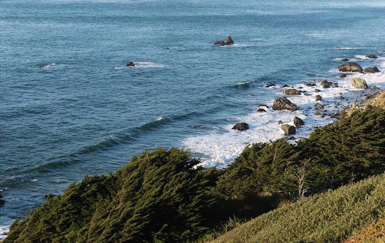 10-presidio.jpg