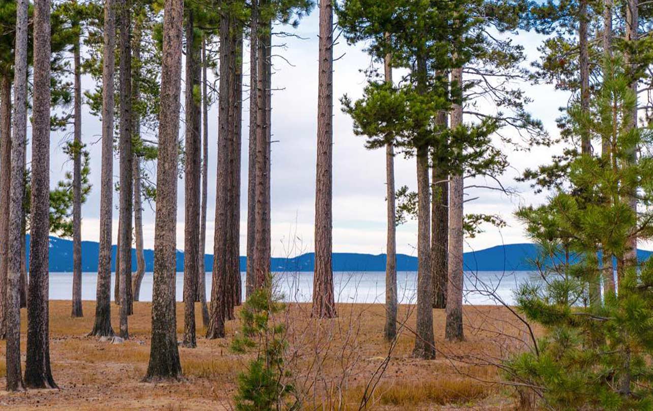 12-tahoe-5.jpg