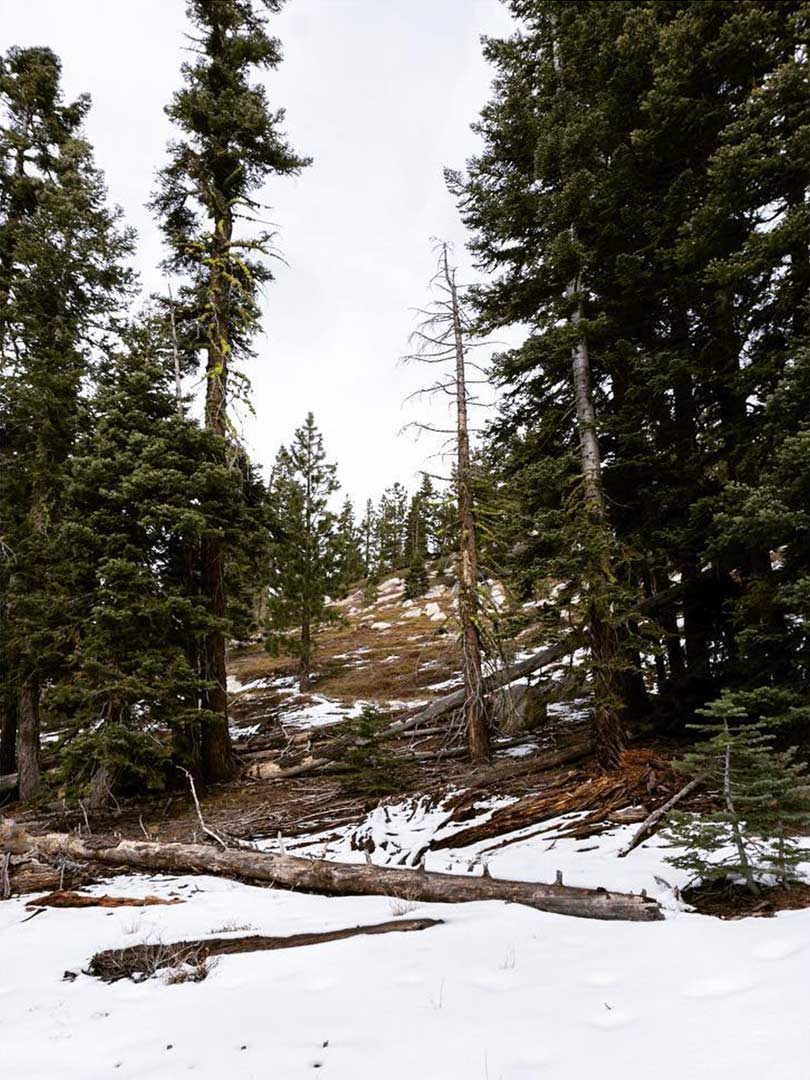 12-tahoe-6.jpg