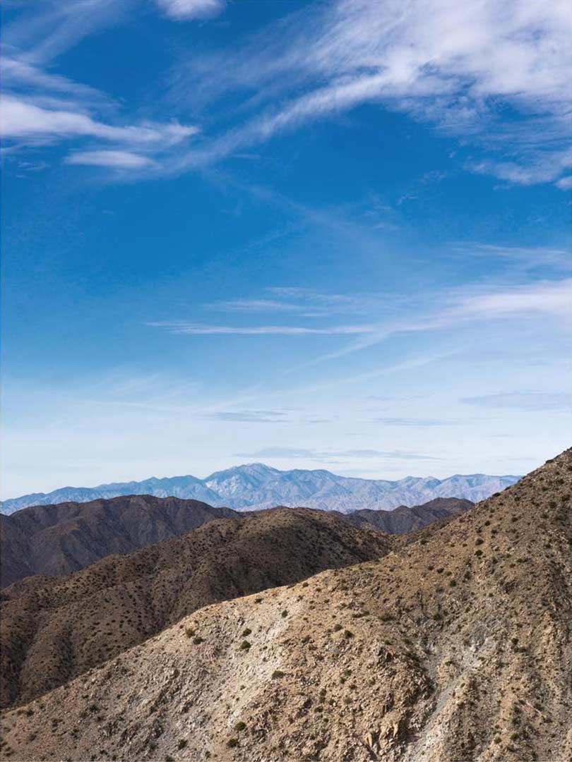 01-joshuatree-2.jpg