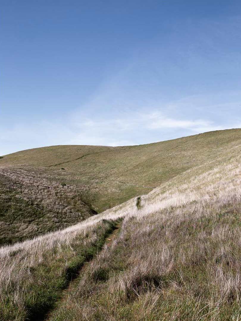 04-mttam-1.jpg