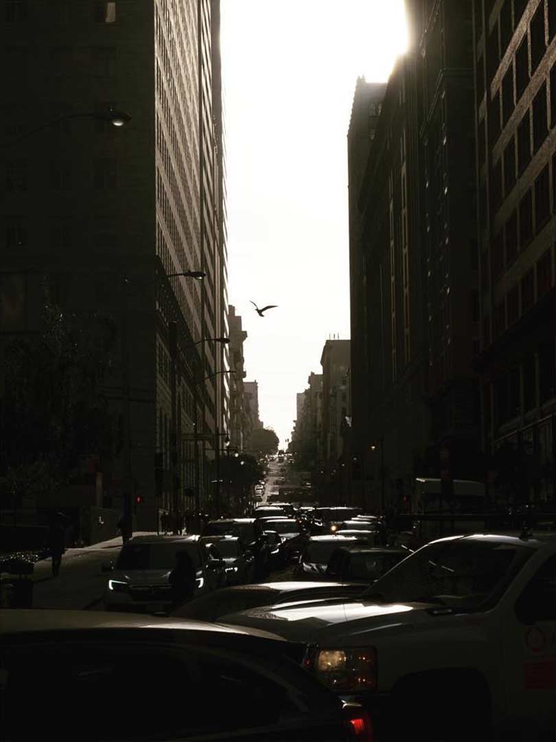 04-sf-1.jpg