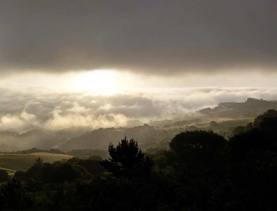 04-tilden.jpg