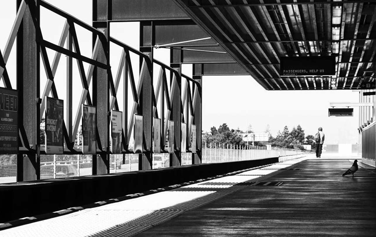 05-bart.jpg
