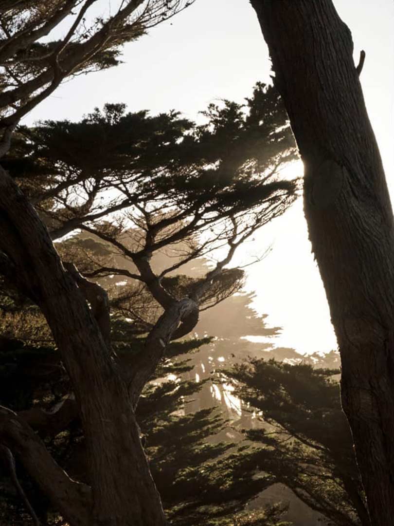 10-presidio-1.jpg