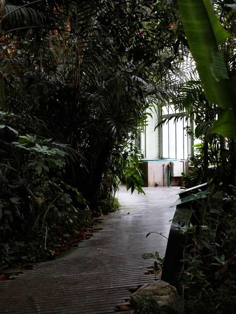 12-jardindesplantes-1.jpg