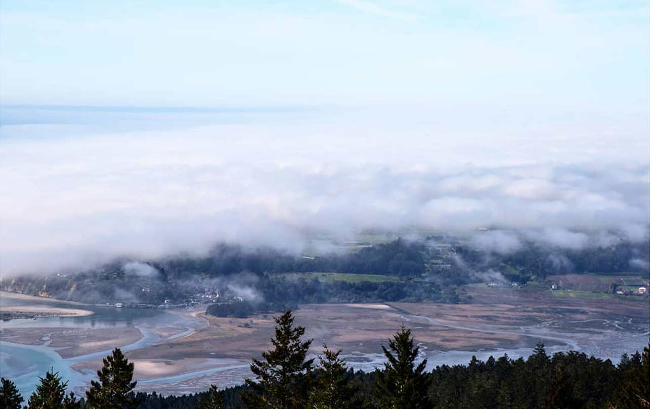01-mttam.jpg