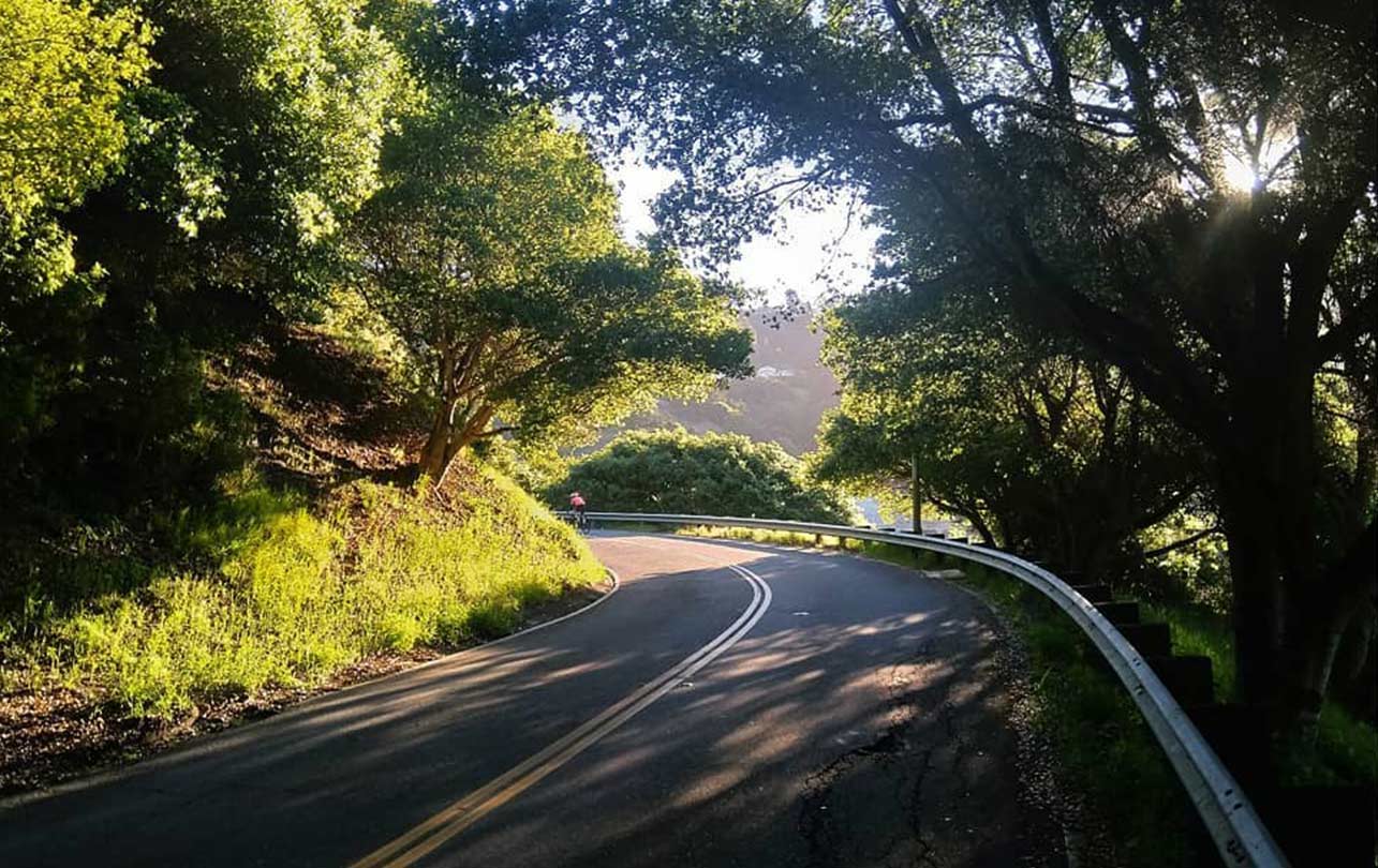 04-tunnelroad.jpg