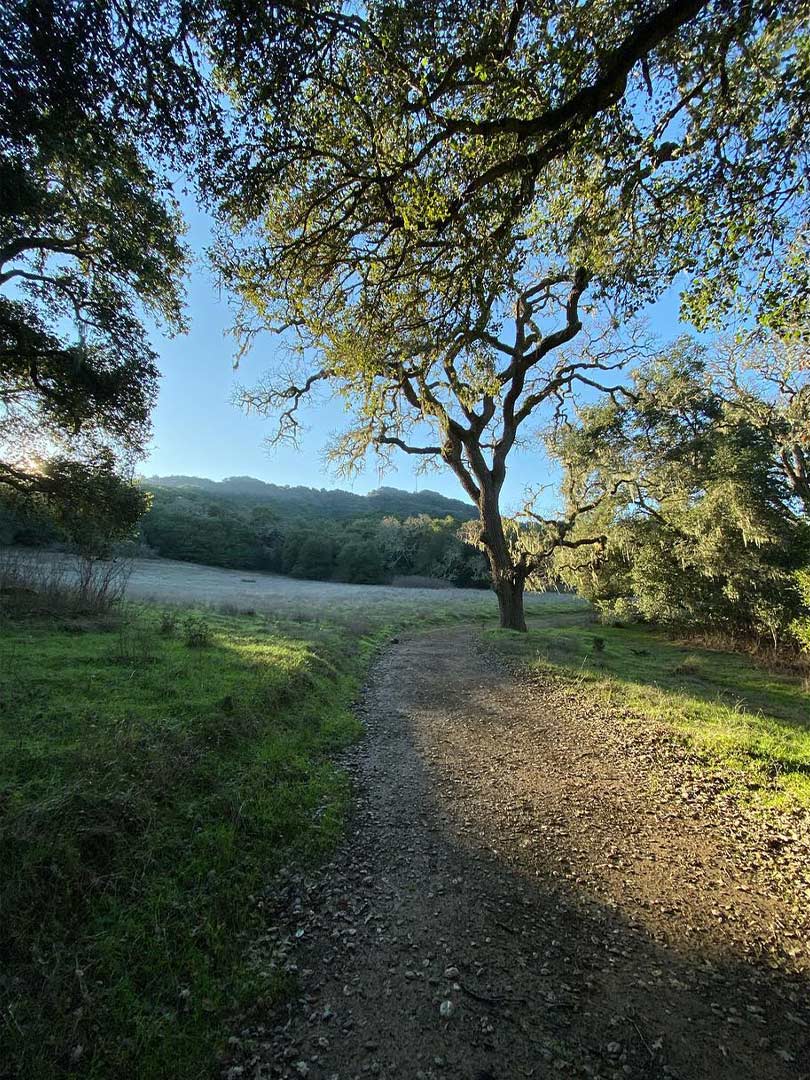12-pleasantonridge.jpg