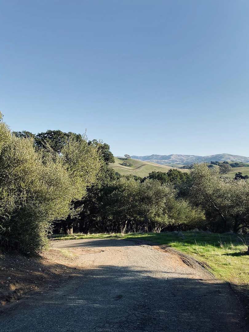 01-pleasanton-1.jpg