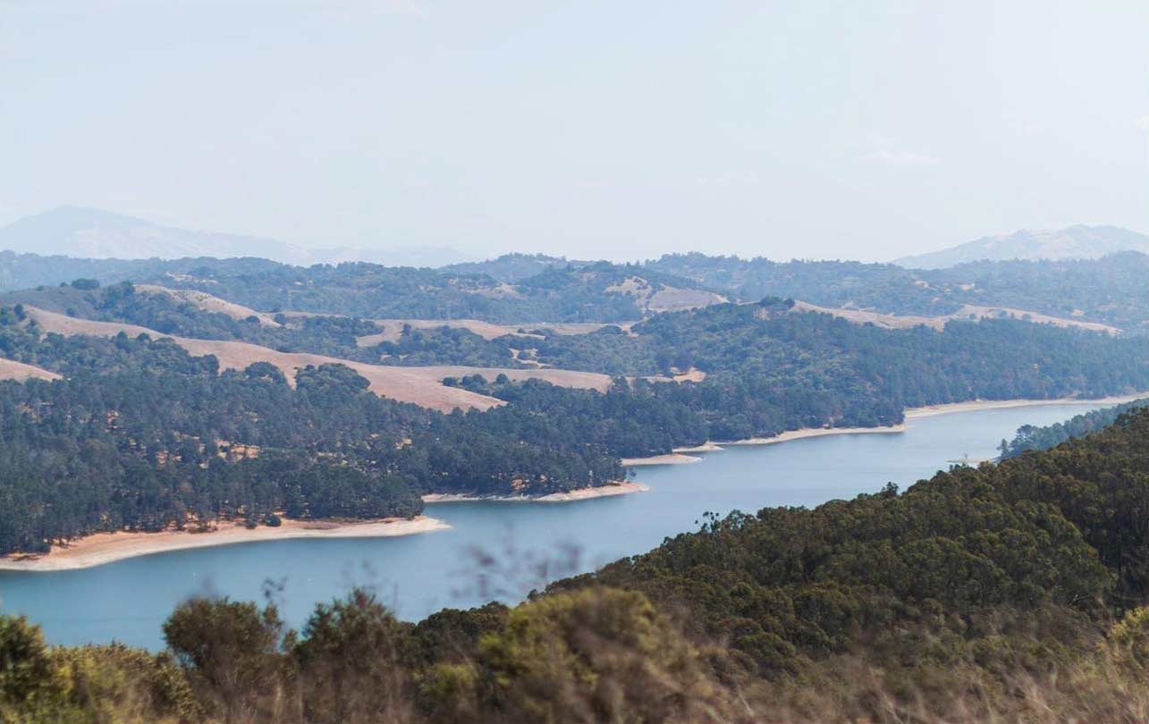 09-tilden.jpg