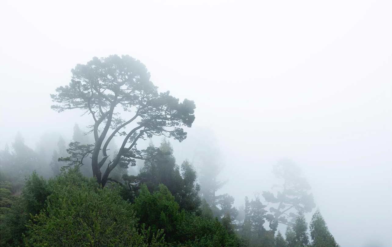 10-tilden.jpg