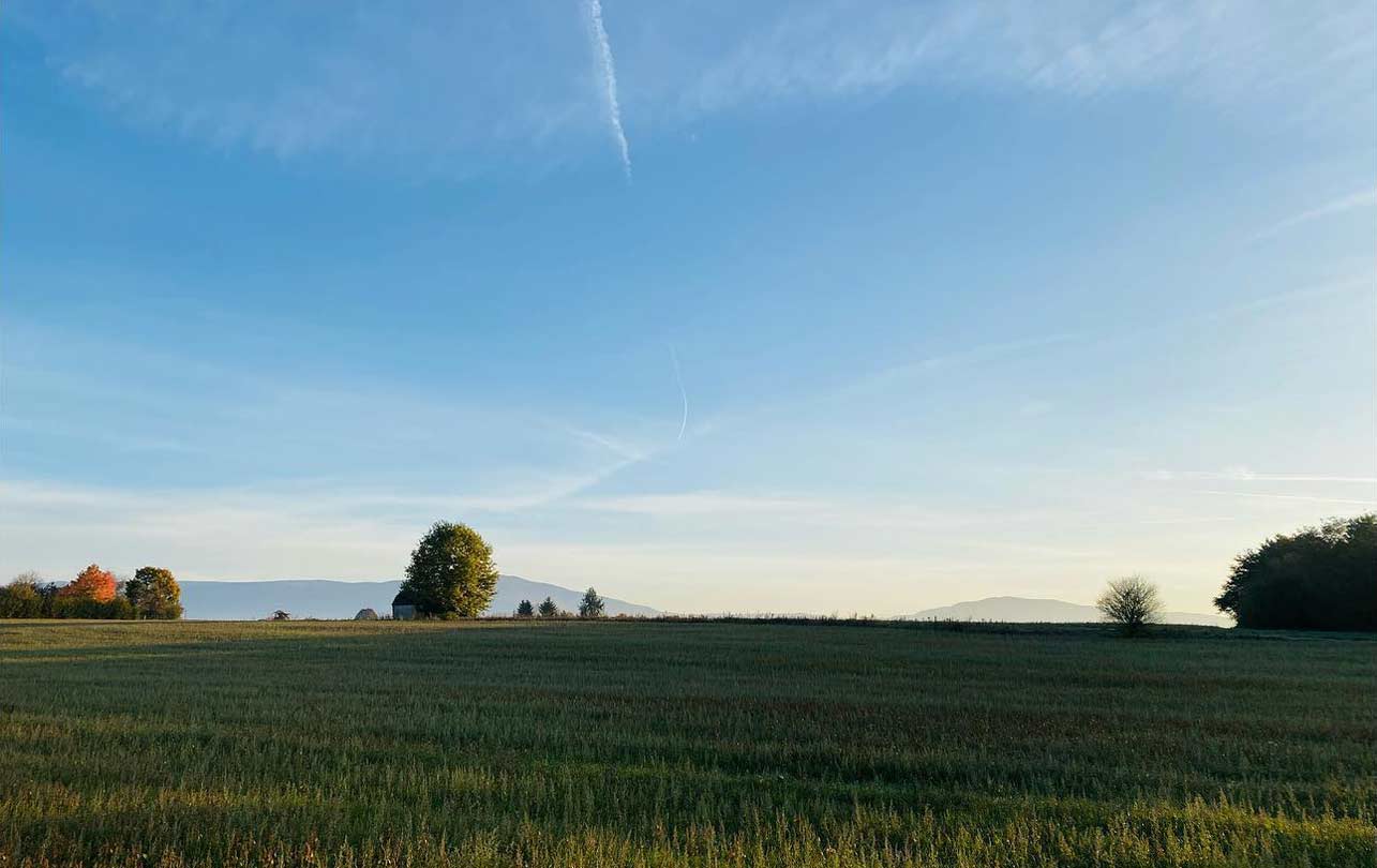 11-morestel-1.jpg