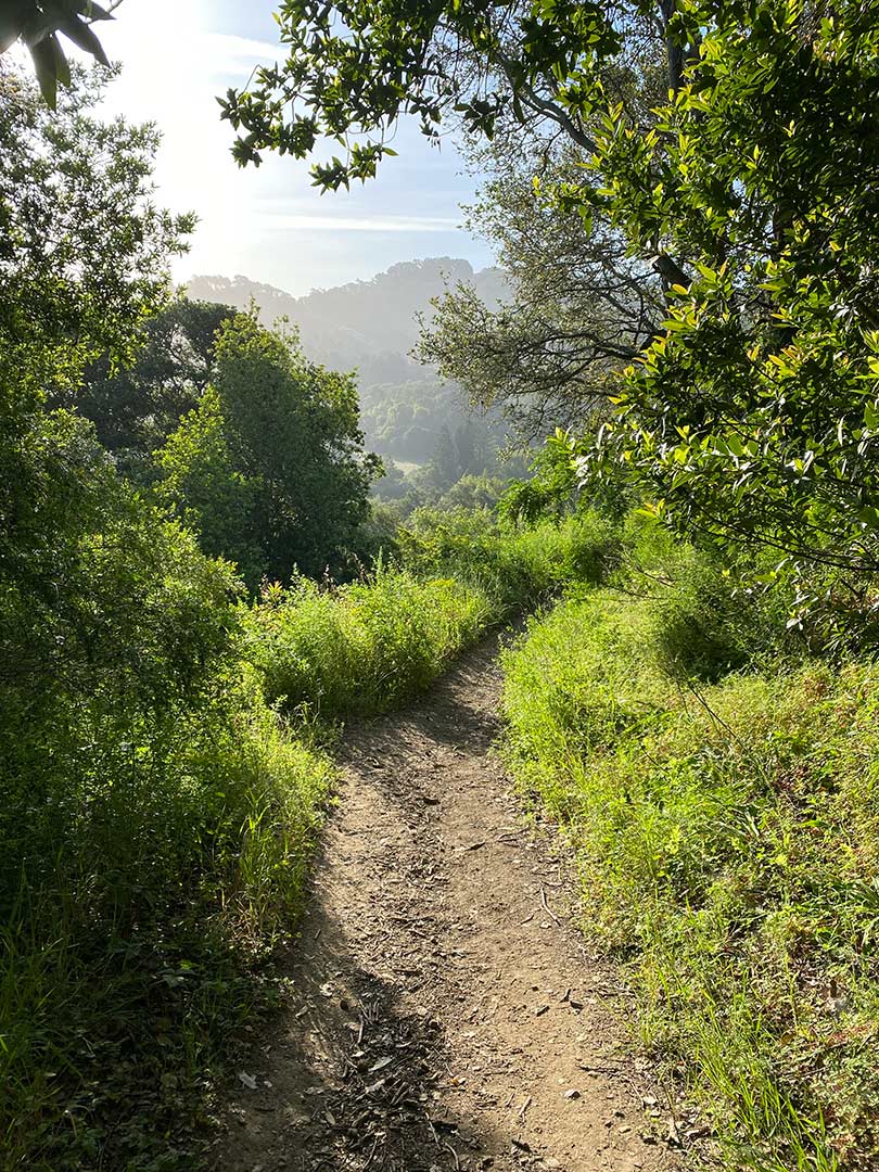 05-tilden.jpg