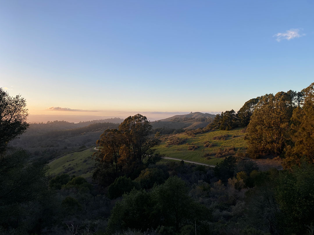 01-tilden.jpg