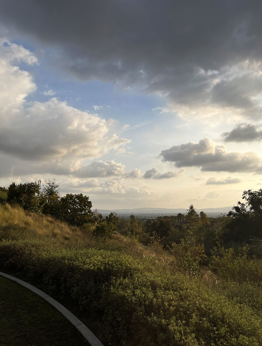 11-azusa-2.jpg