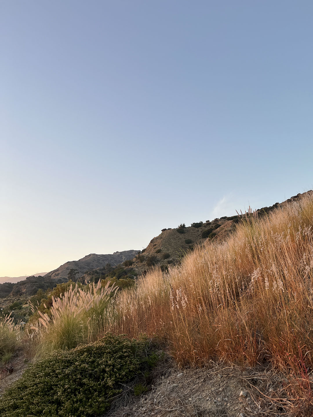 11-azusa-3.jpg