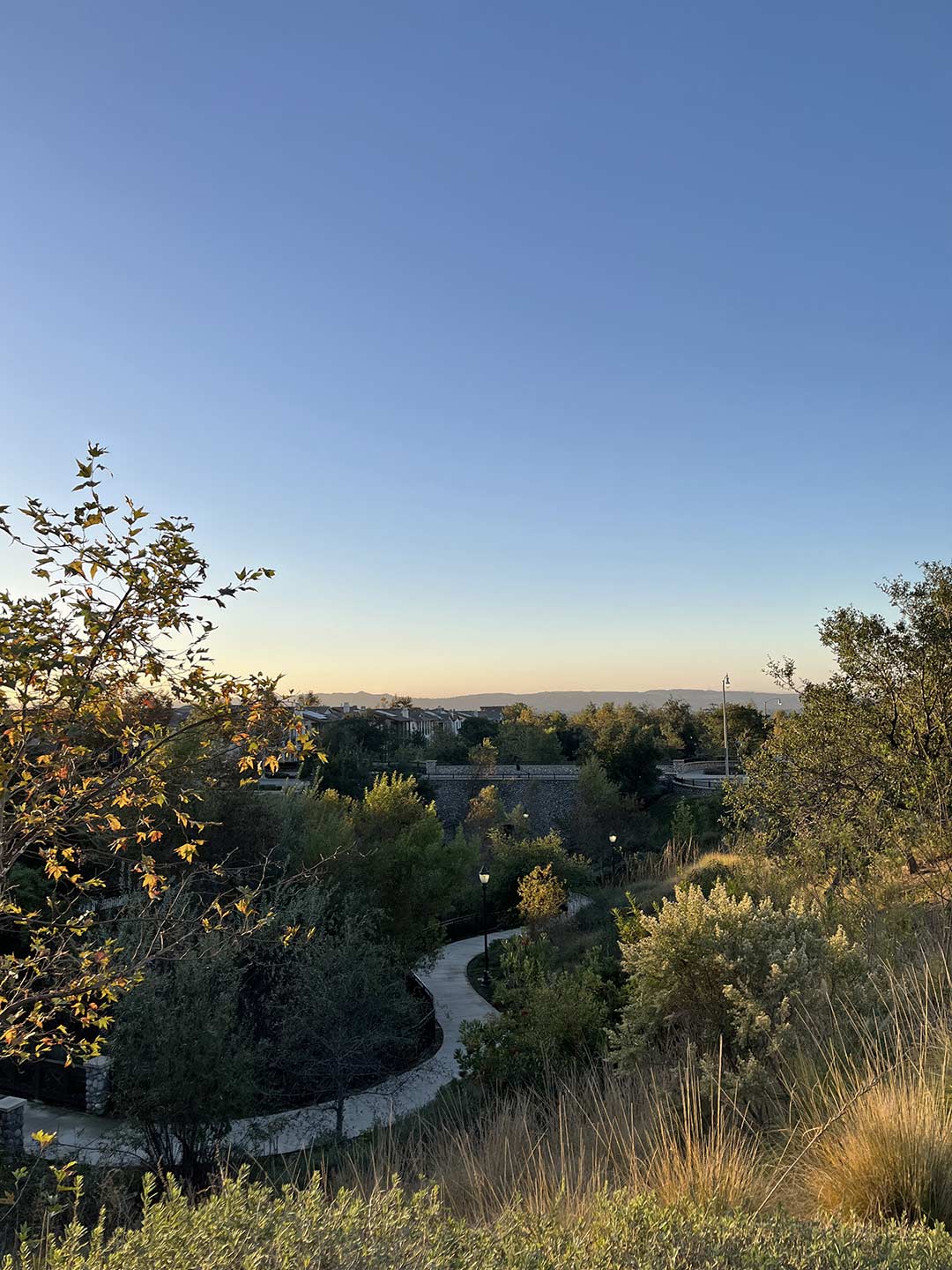 11-azusa-6.jpg