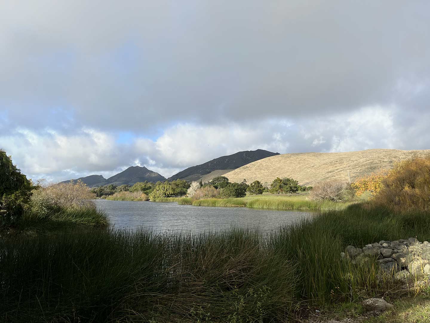 12-slo-laguna-lake-4.jpg