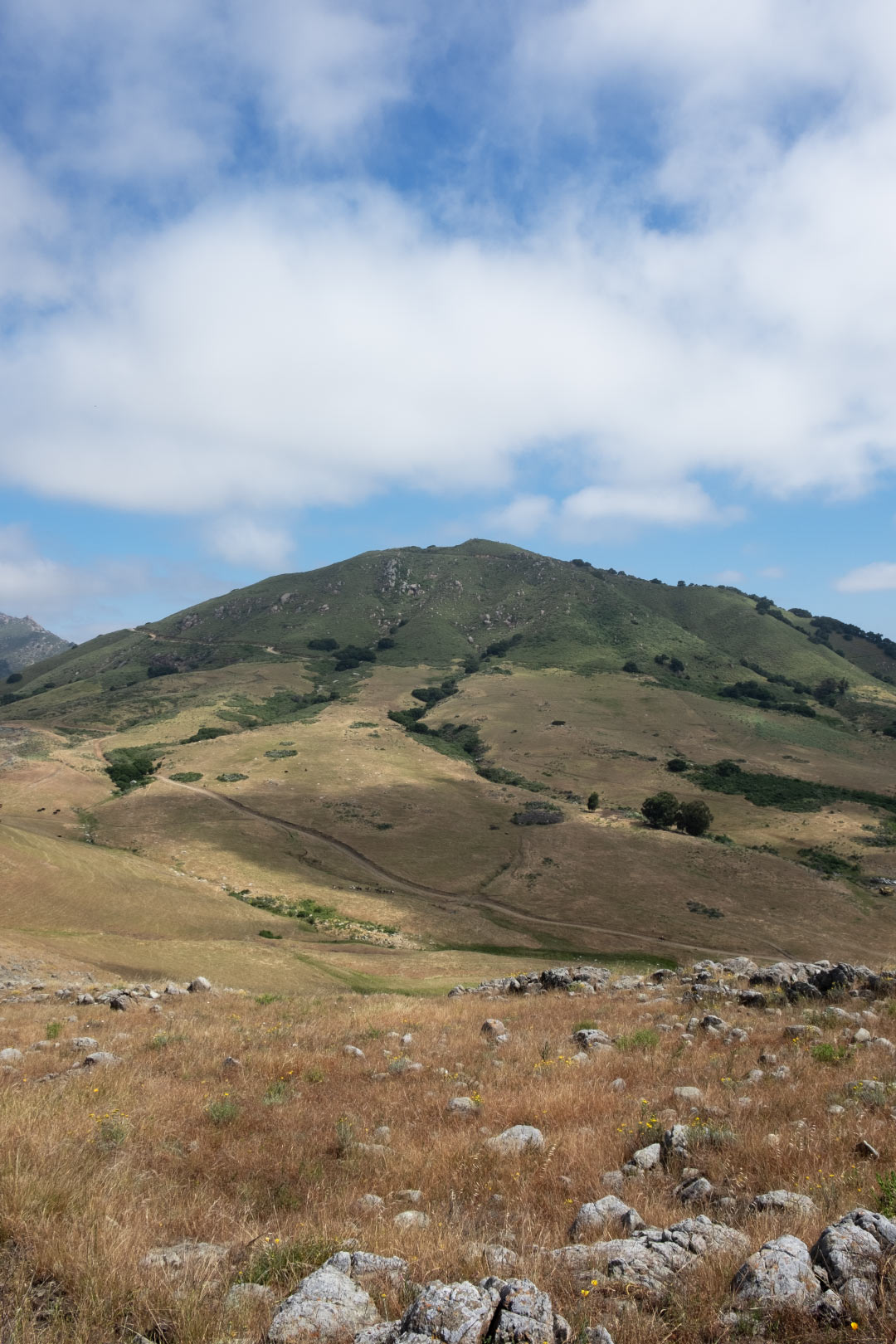 06-slo-cerro.jpg