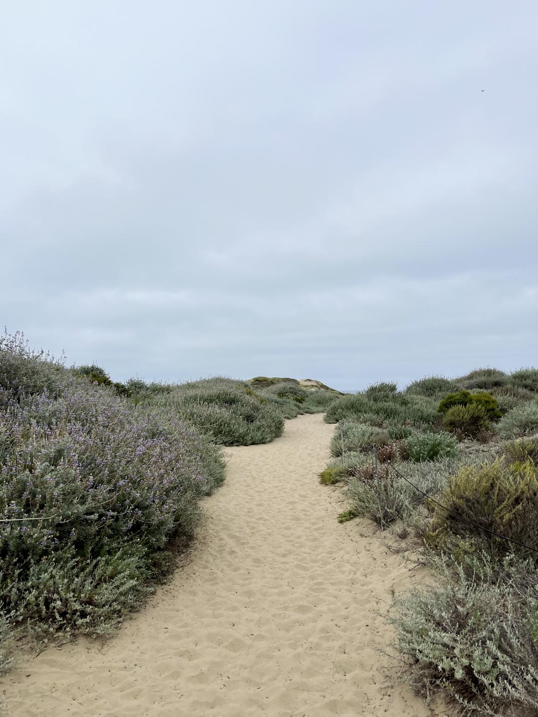 07-morro-bay-1.jpg