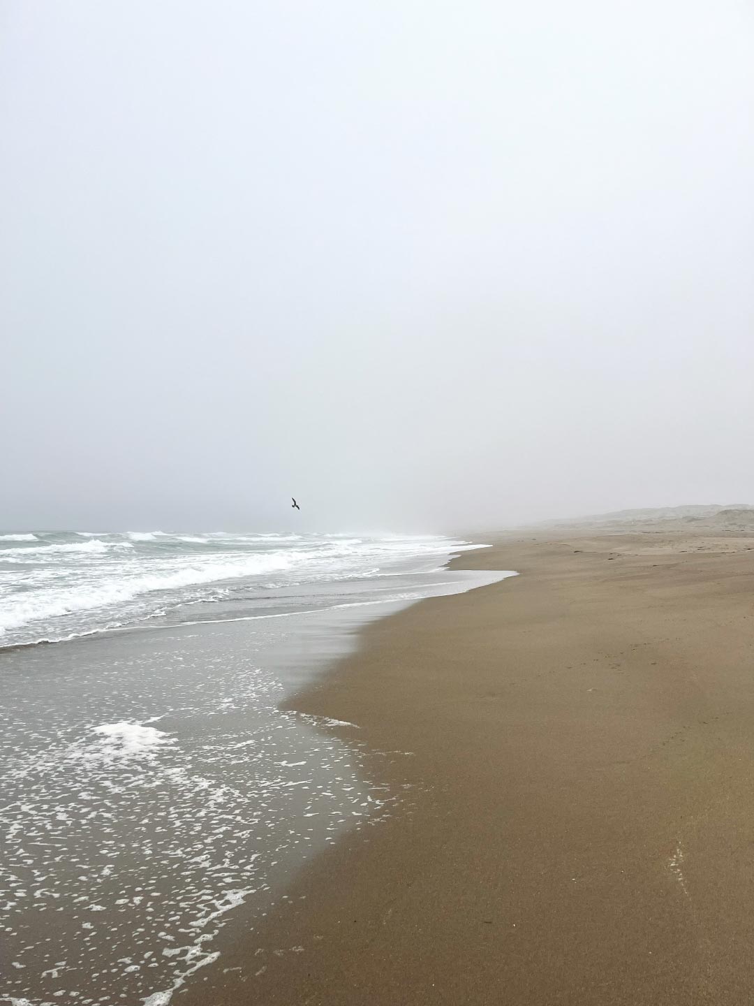 07-sandspit-beach-1.jpg