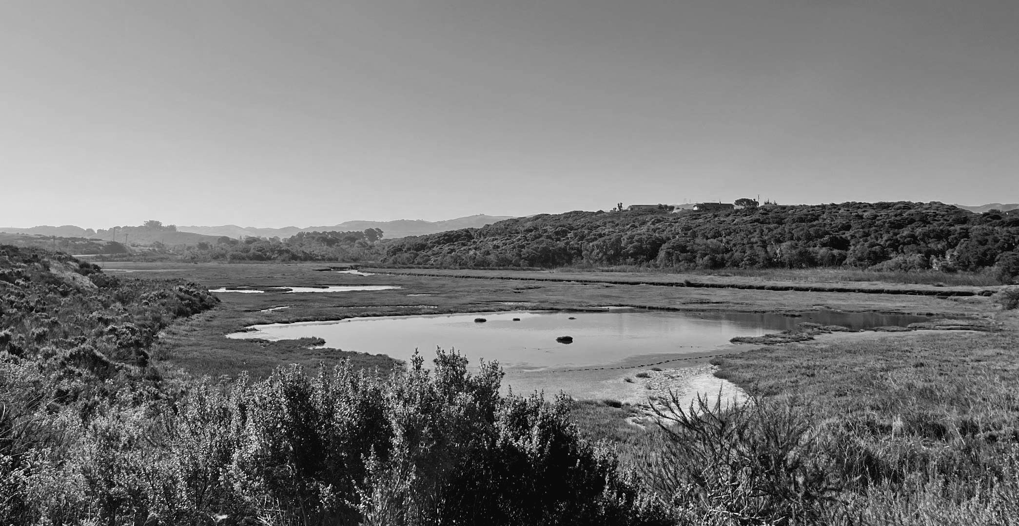 09-morro-bay-1.jpg
