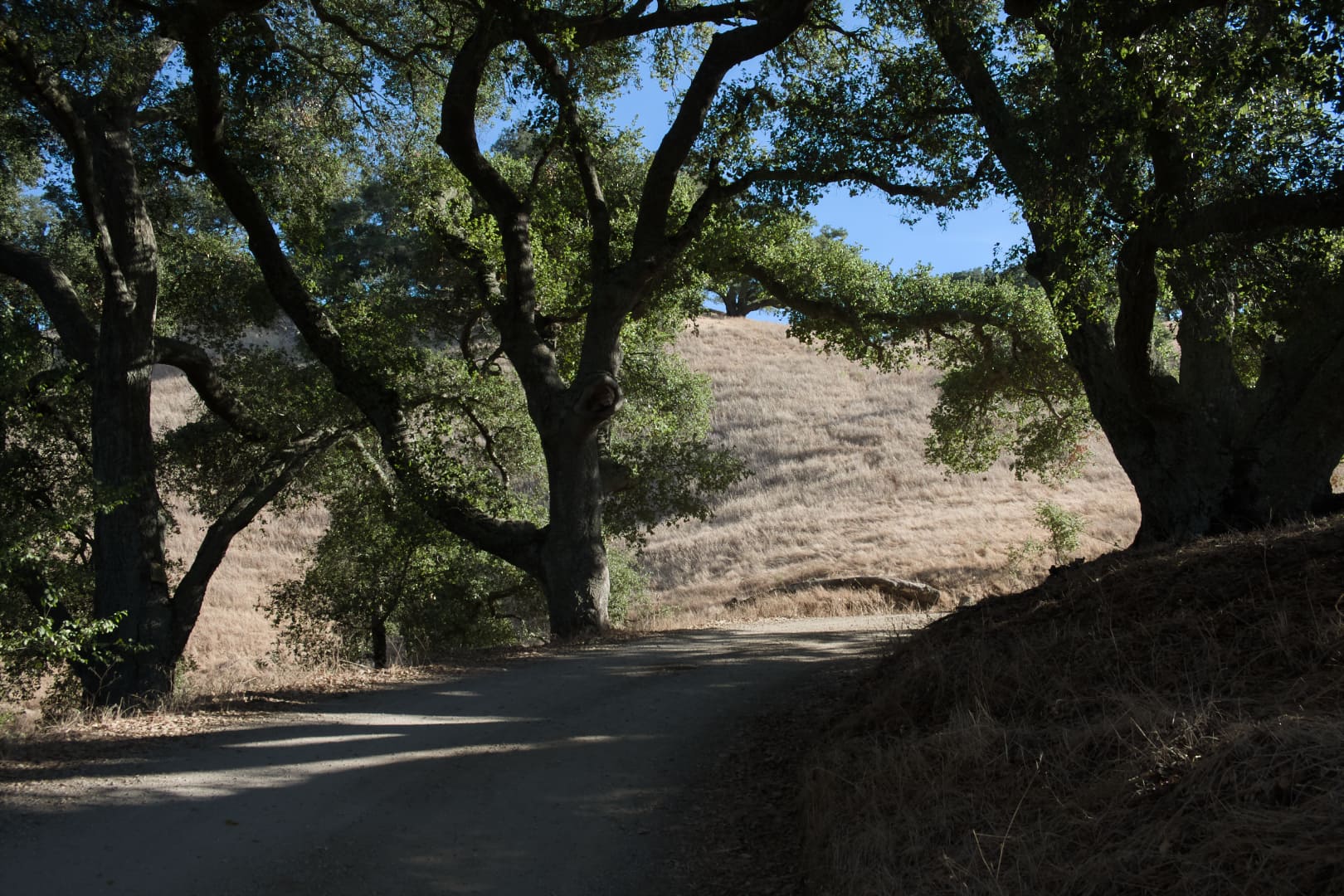 10-cuesta-ridge-1.jpg