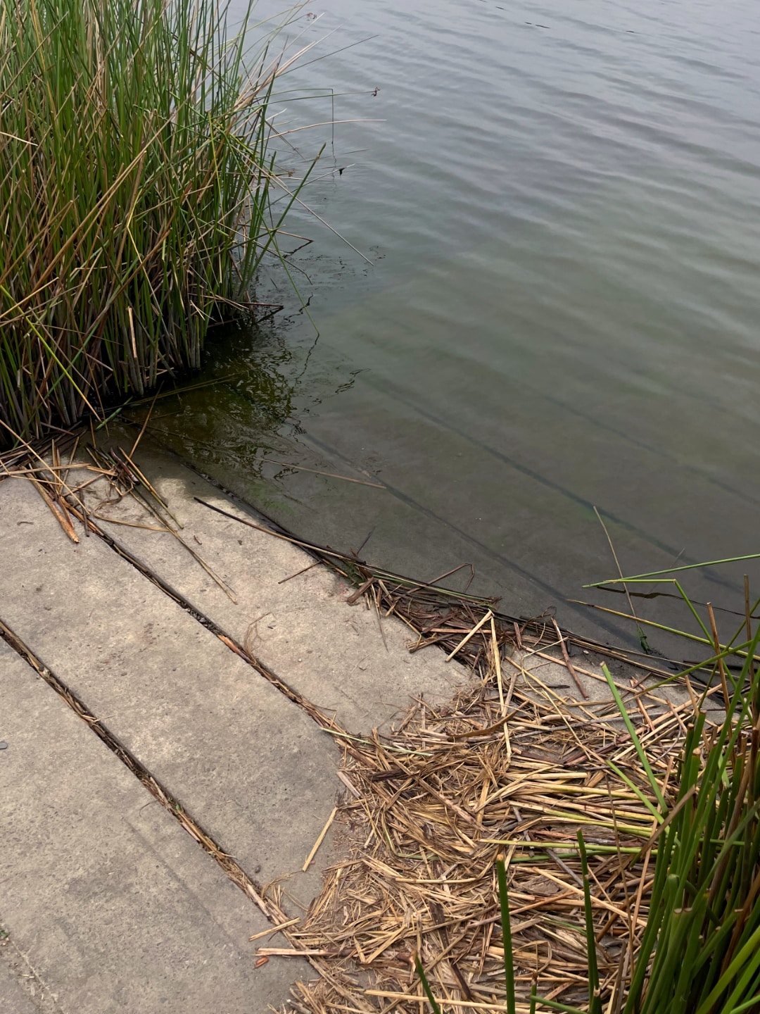 10-laguna-lake-1.jpg
