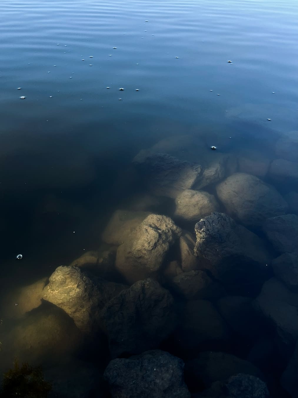 12-laguna-lake-1.jpg