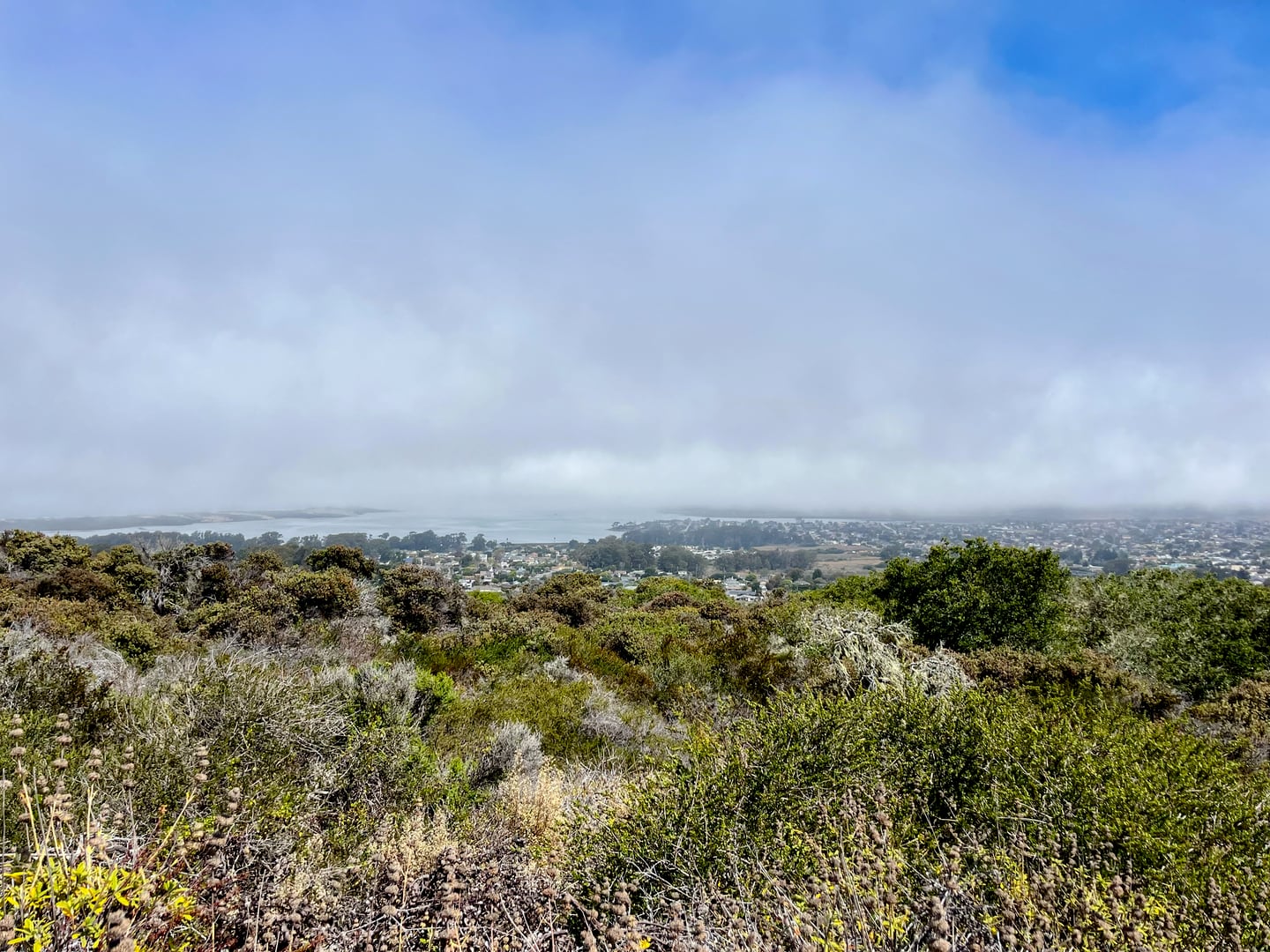 07-los-osos.jpg