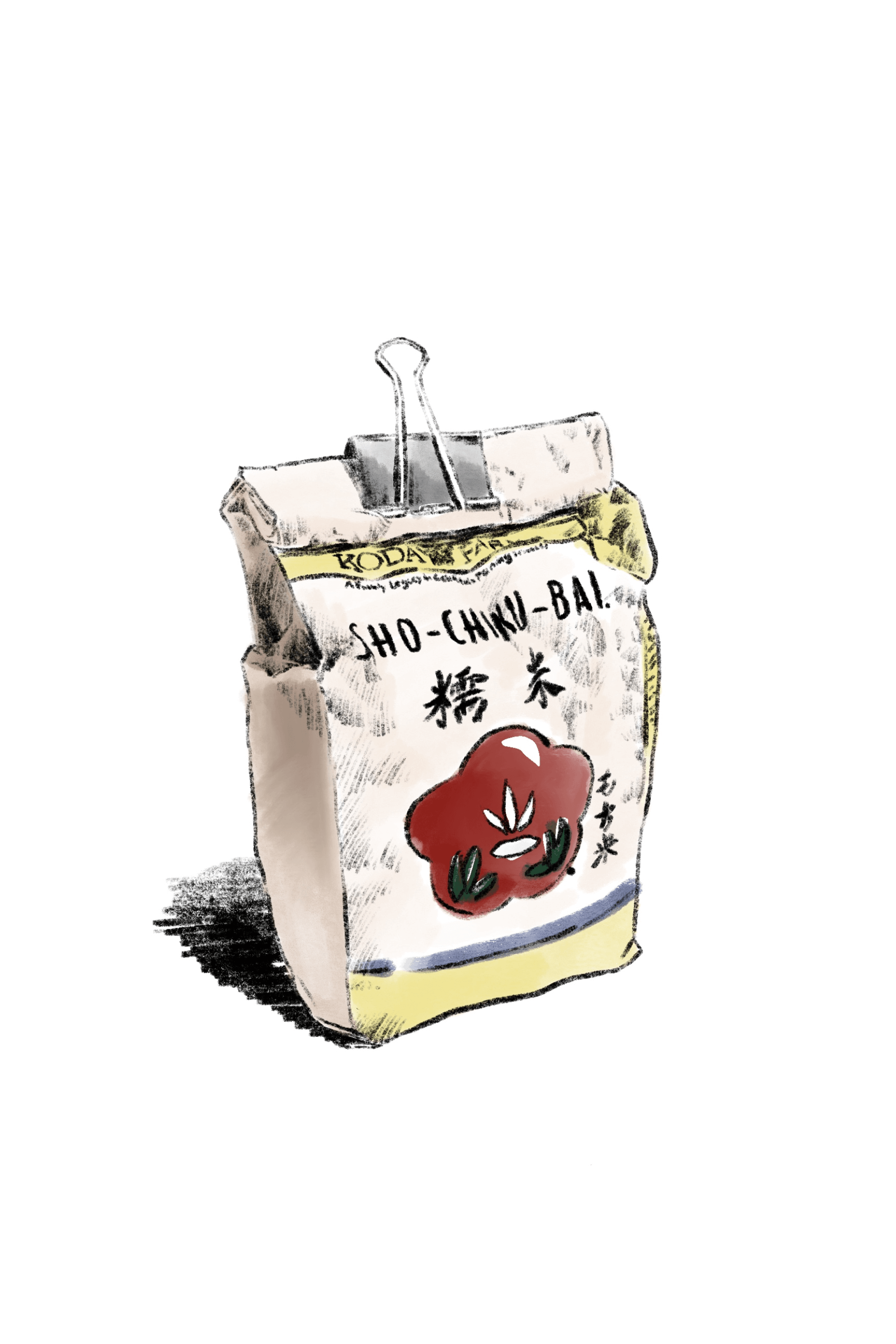 A sketch by Nicolas Solerieu made on 2020.02.20