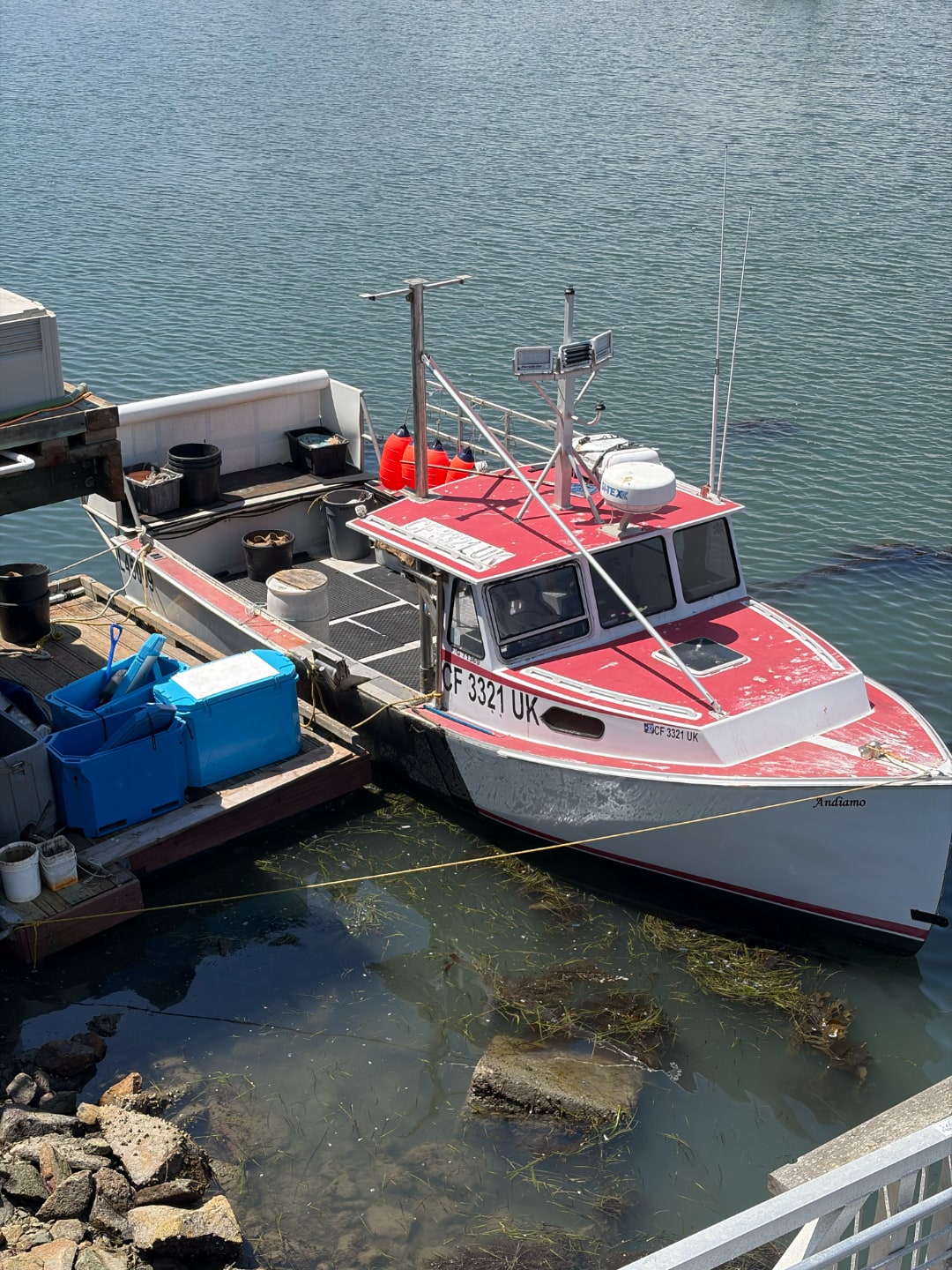 202605-morro-bay.jpg